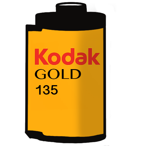 folder containing kodak gold film pictures